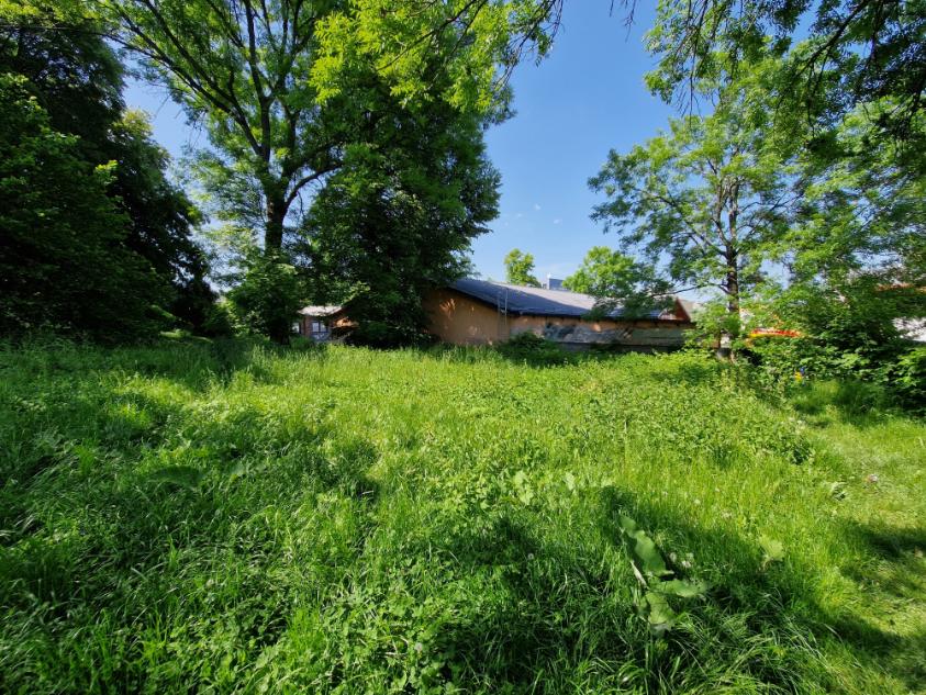 Sekání silně zarostlého pozemku Opava u penny